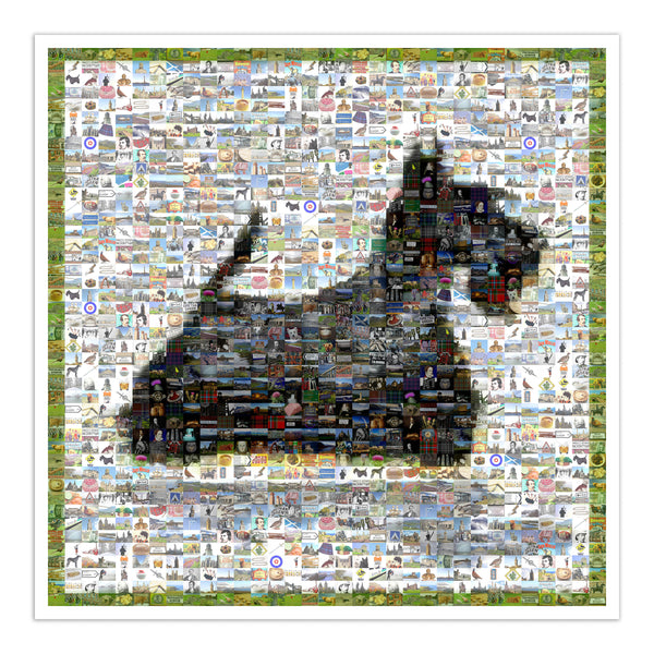 Scottish Terrier artt