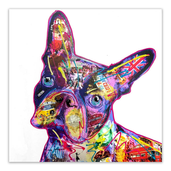 Boston terrier  dog art