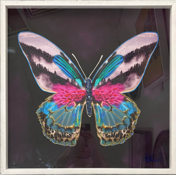 My-My Butterfly