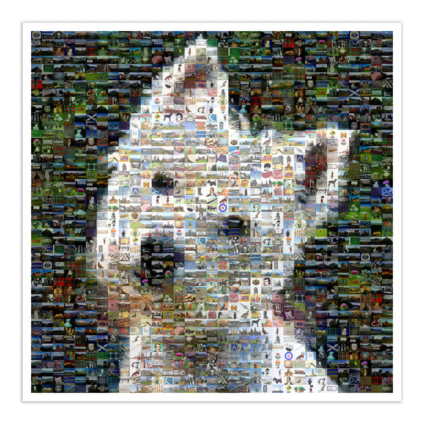 West Highland Terrier art