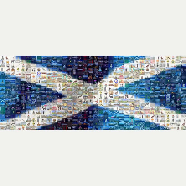 Scottish Flag rec
